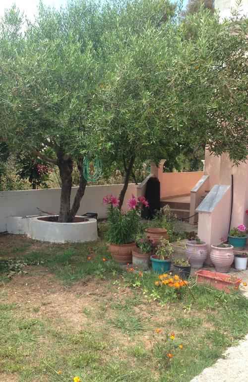 Villa Zenap Agios Georgios  Exteriör bild